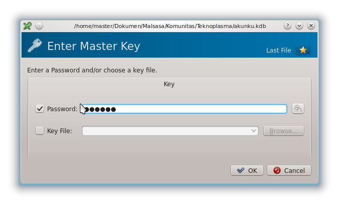 Для чего нужен мастер кей. Master Key пароль. Програматор ключів Master Key 3.9. Програматор ключів Masterkey 3 mk3. Мастер ключ фон си.