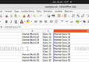 Pemutus Halaman Pada LibreOffice Calc
